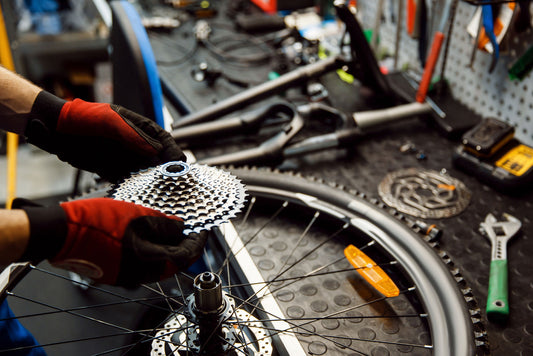 La seconde vie des produits de sport : un impératif qui conjugue performance économique et responsabilité environnementale